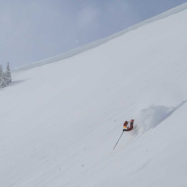 powder bowl utah cat skiing